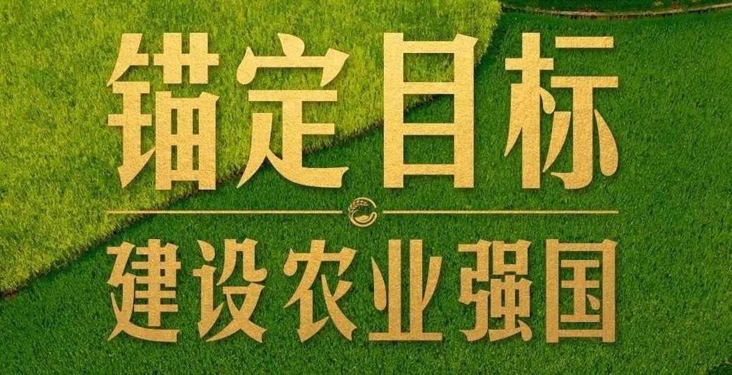 點燃現(xiàn)代農(nóng)業(yè)創(chuàng)新引擎，釋放農(nóng)業(yè)領(lǐng)域新質(zhì)生產(chǎn)力
